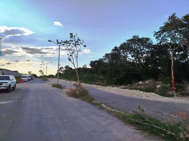 3 de 8: CALLES