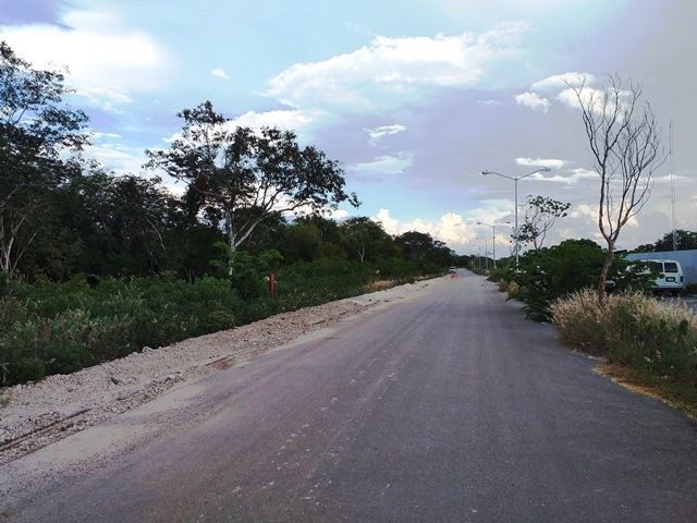 5 de 8: CALLES