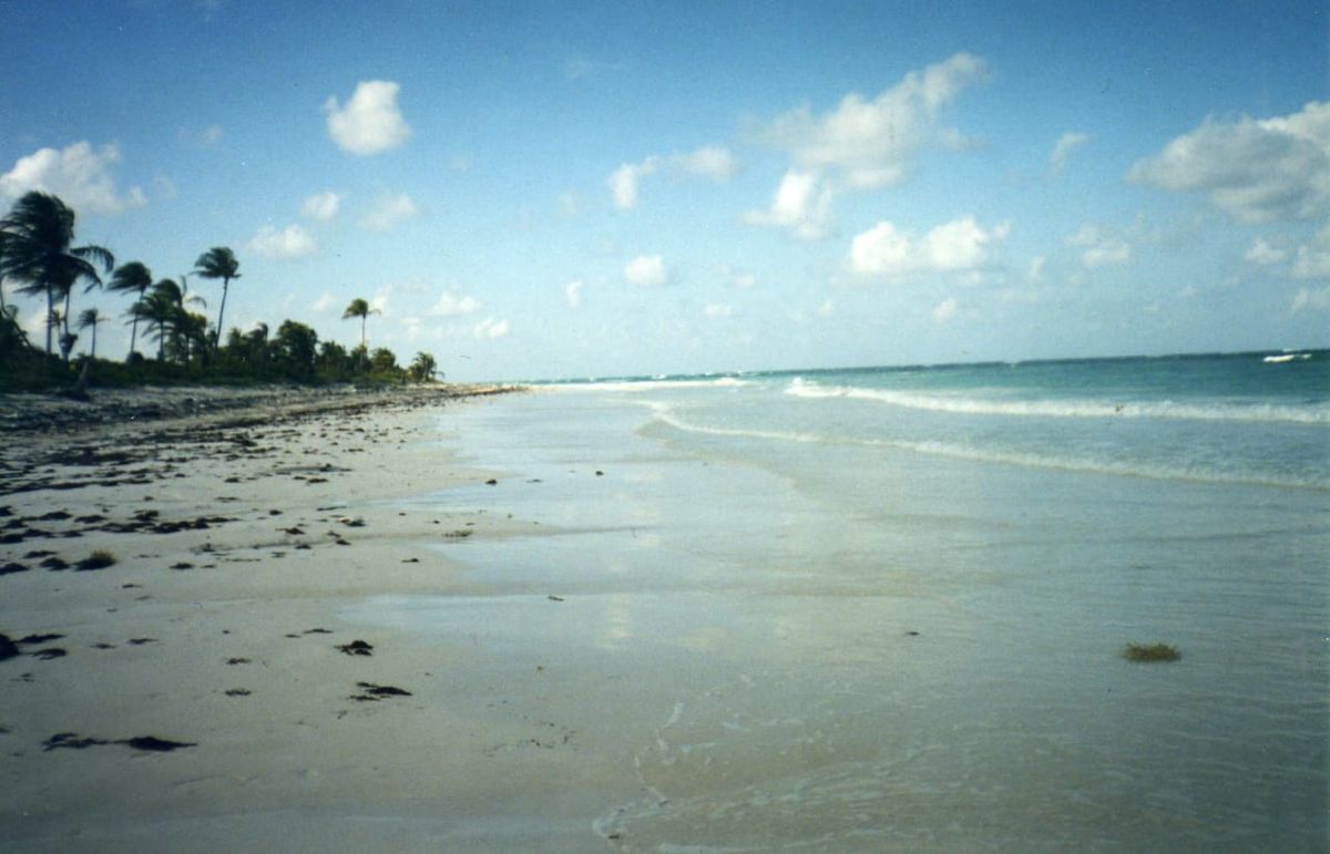 4 de 6