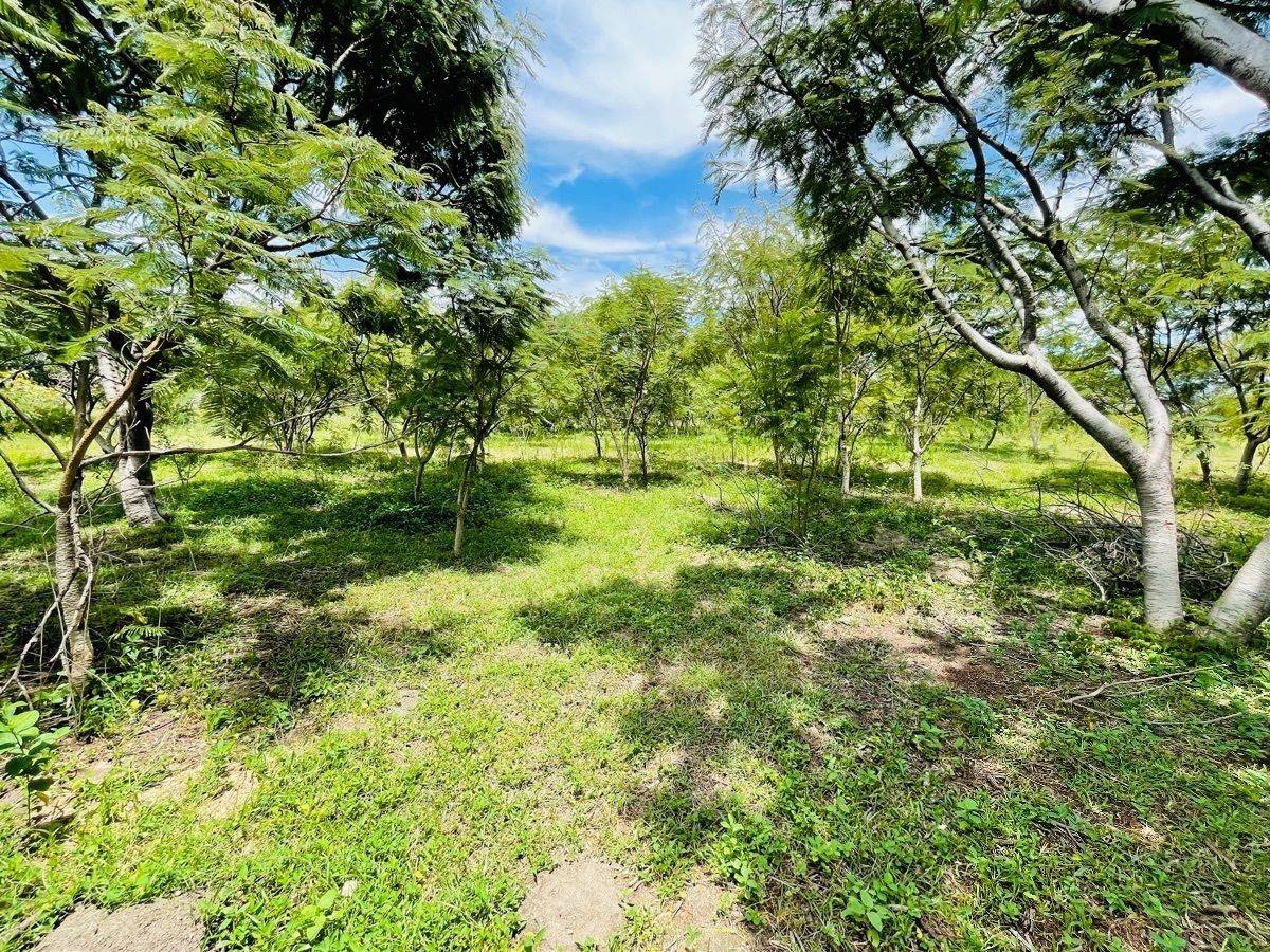 Terreno venta en Atlixco