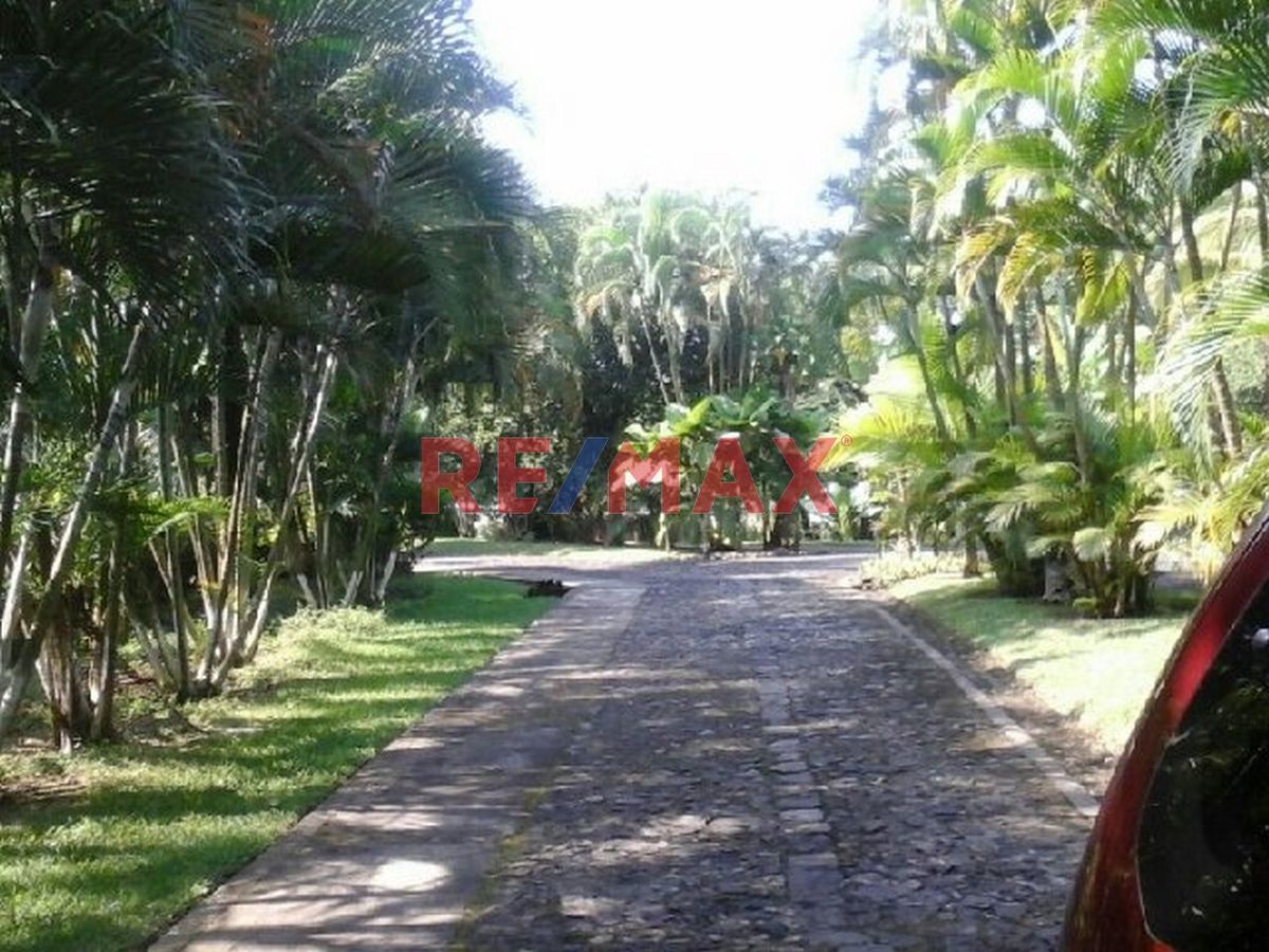 1 de 12