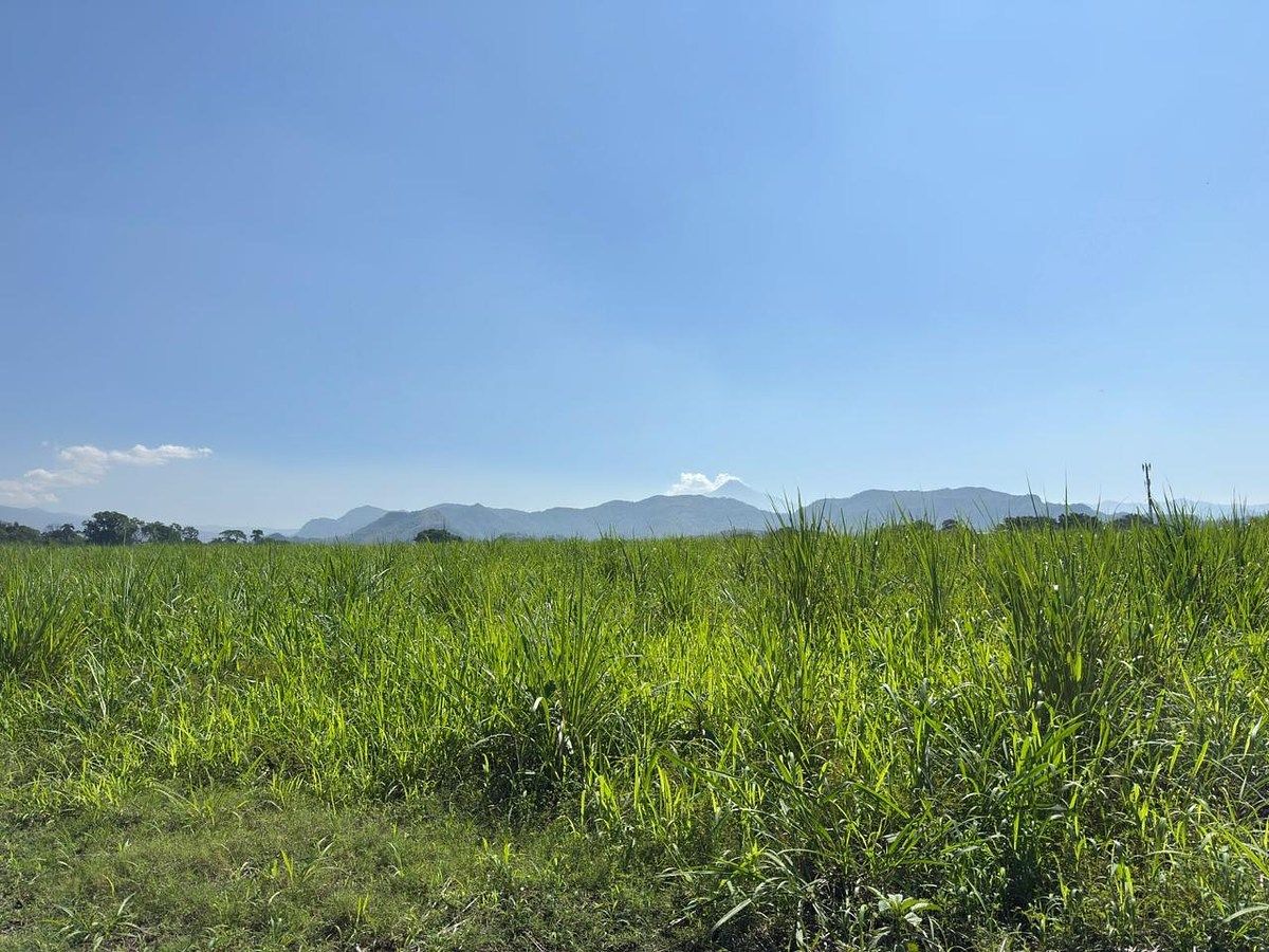 Terreno en Palín, Palín, foto 3 de 11