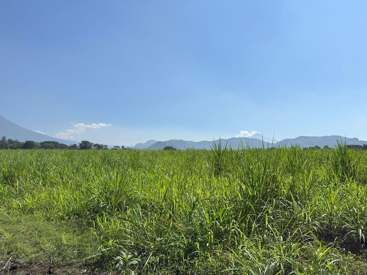 Terreno en Palín, Palín, foto 2 de 11