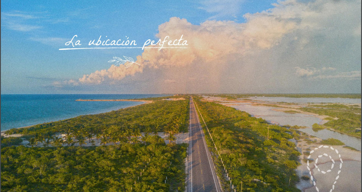5 de 25