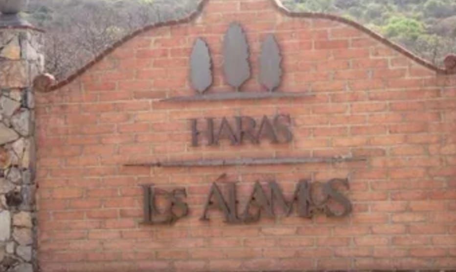 2 de 12