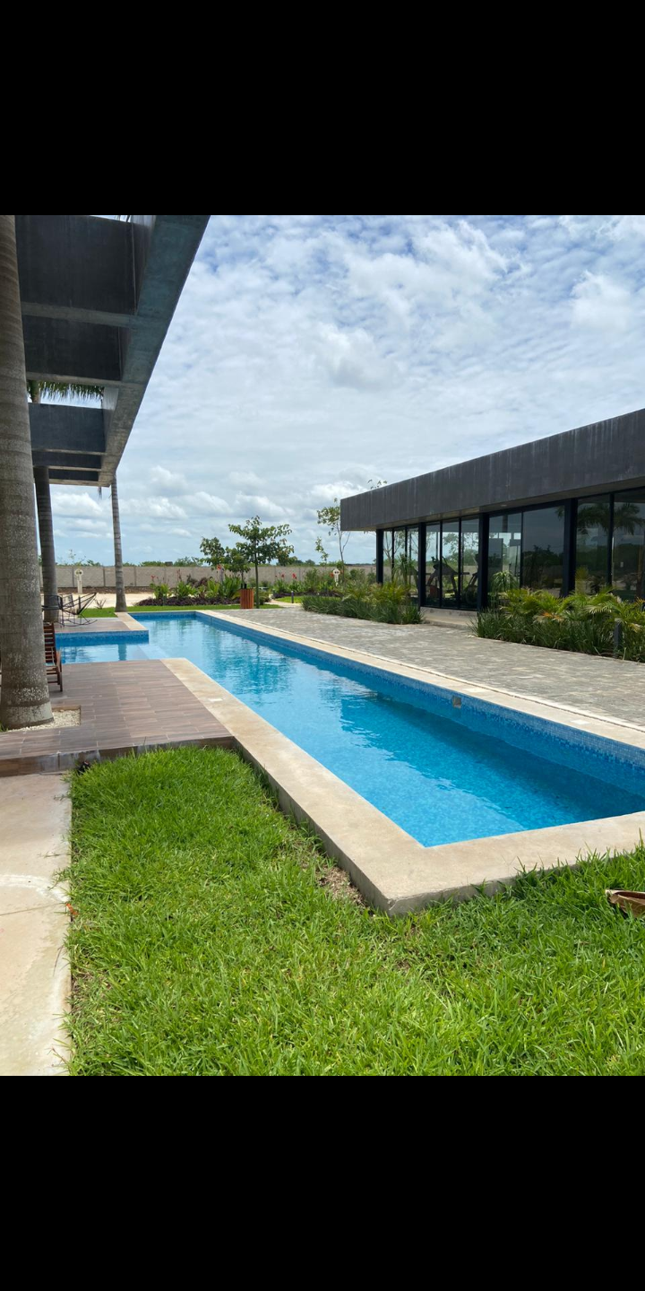 TAMORA 150 PRE-VENTA EN CONKAL