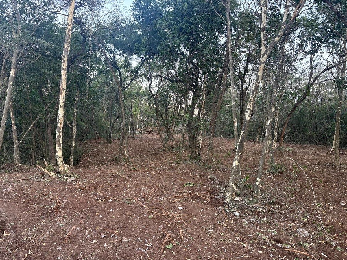 Lote em Terrero, Santiago, foto 6 de 9