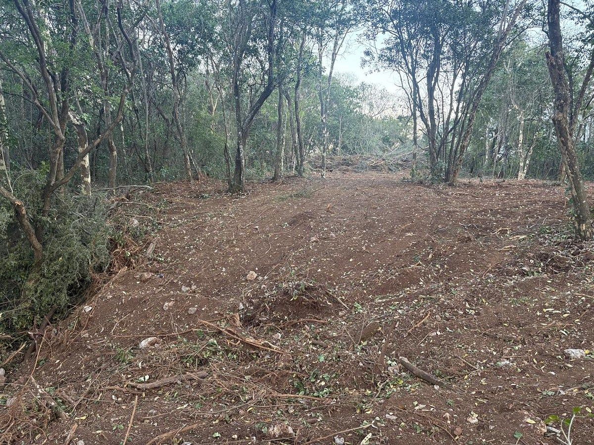 Lote em Terrero, Santiago, foto 7 de 9