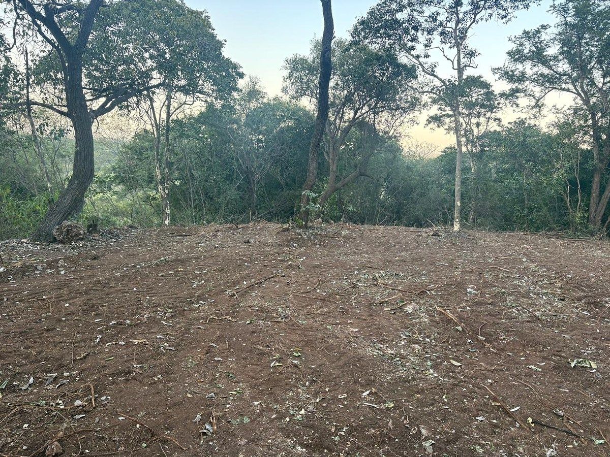Lote em Terrero, Santiago, foto 8 de 9