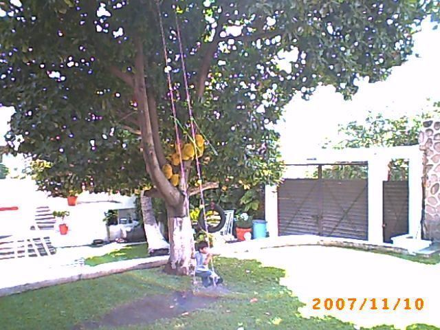 Imagen 4 de 10