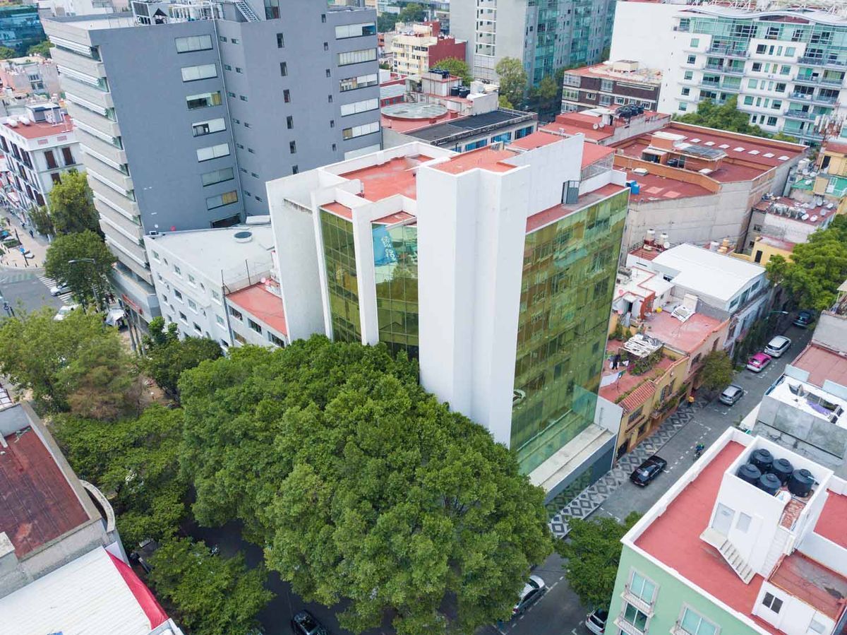 14 de 14
