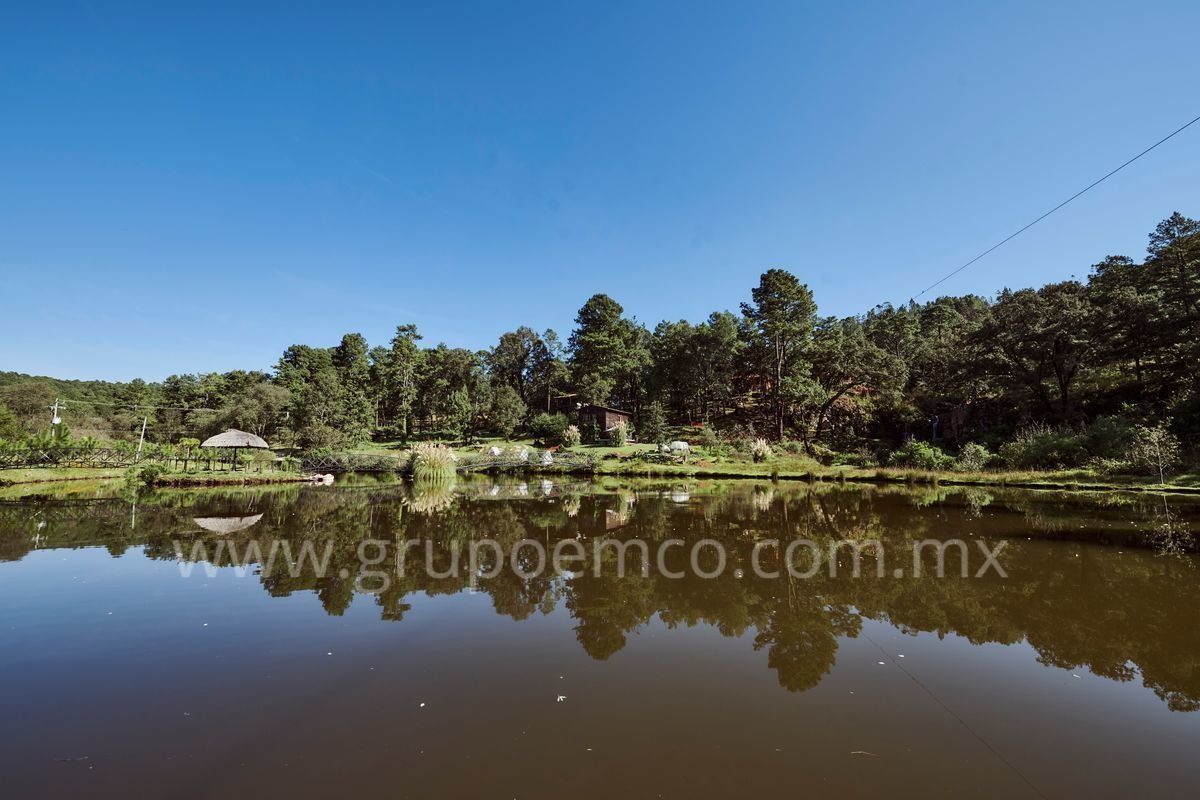 TERRENOS CAMPESTRE RESERVA SAN GREGORIO CONCEPCION DE BUENOS AIRES - foto 4