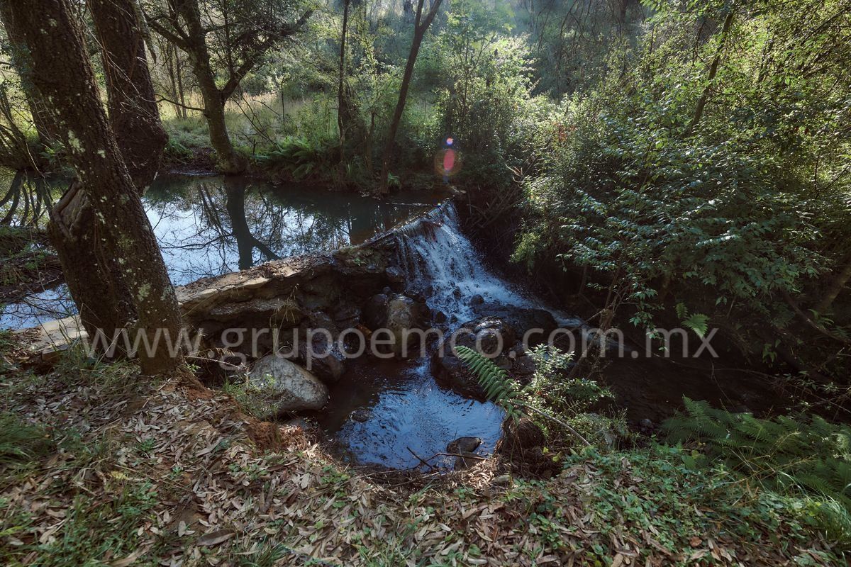 TERRENOS CAMPESTRE RESERVA SAN GREGORIO CONCEPCION DE BUENOS AIRES - foto 1