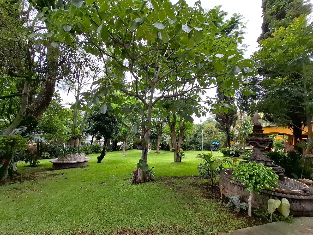 4 de 50