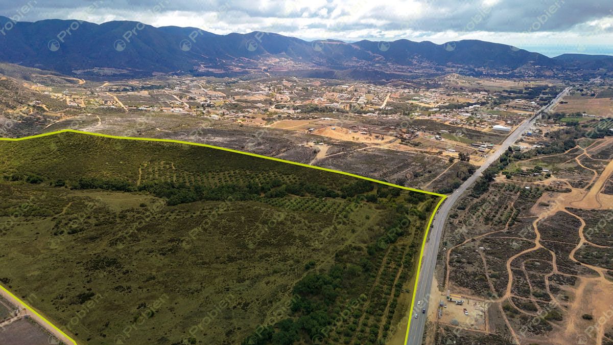 Terreno en Venta en el Valle de Guadalupe - Ideal para Desarrolladores