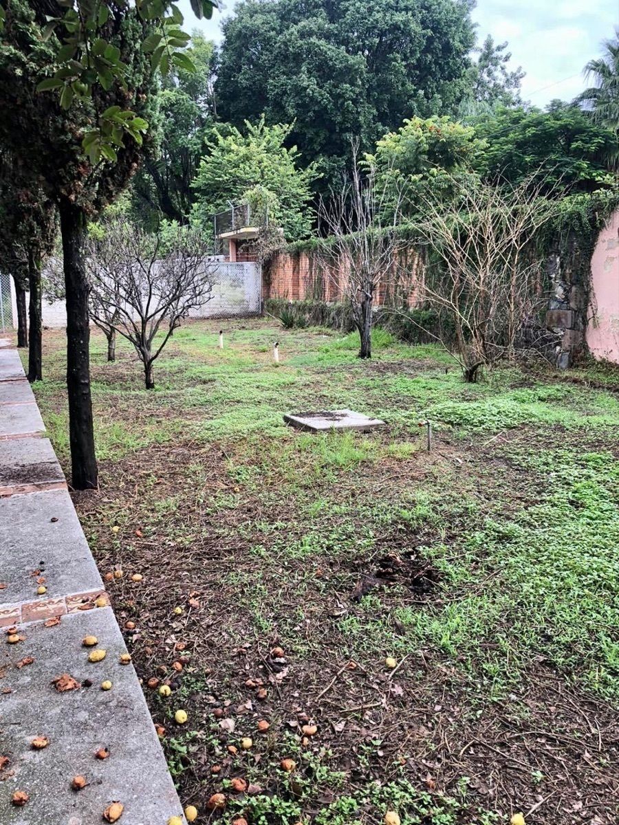 3 de 23