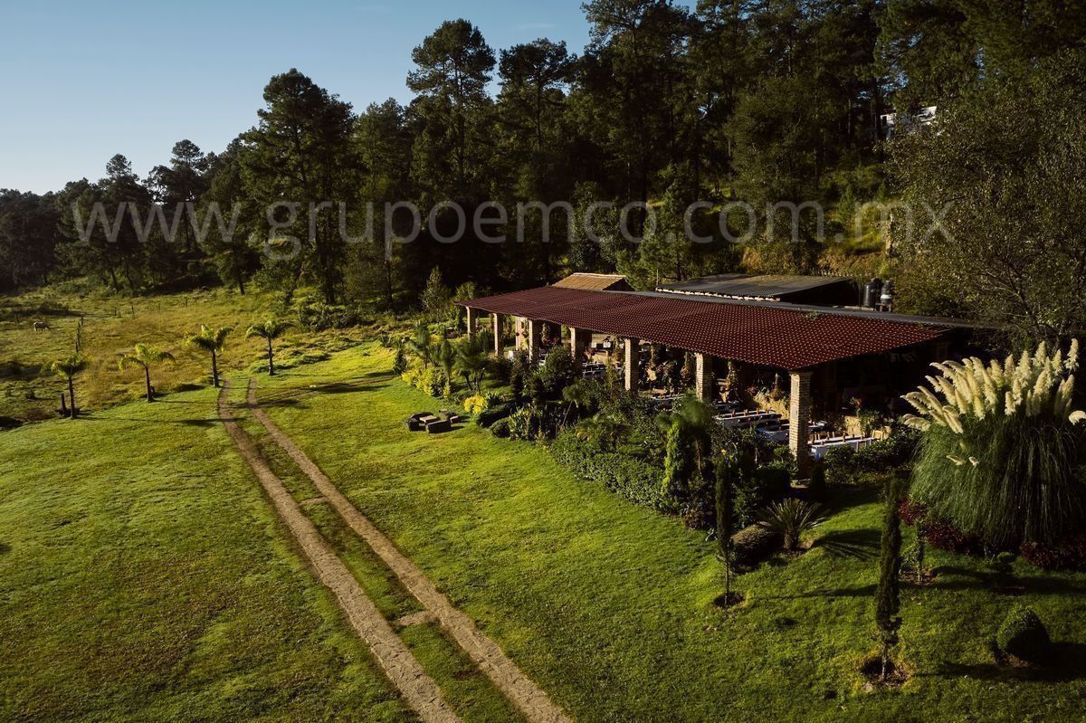 TERRENO CAMPESTRE RESERVA SAN GREGORIO, CONCEPCIÓN DE BUENOS AIRES - foto 2