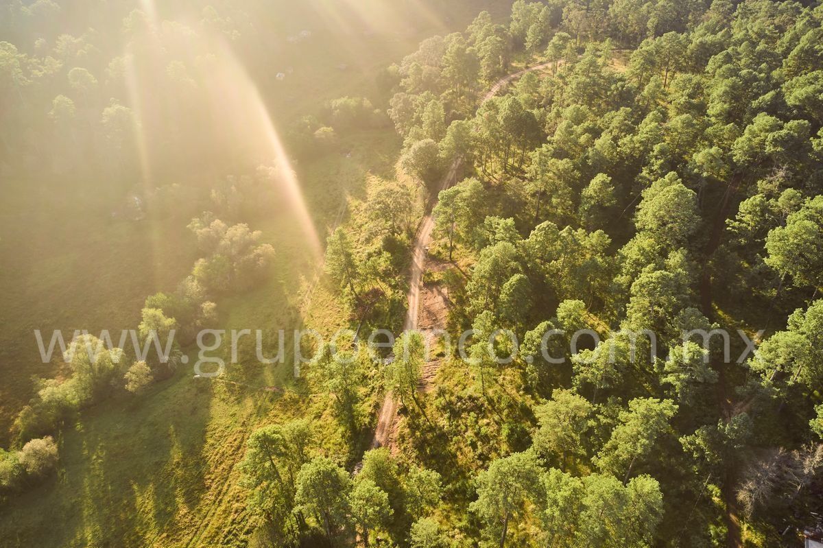 TERRENO CAMPESTRE RESERVA SAN GREGORIO, CONCEPCIÓN DE BUENOS AIRES - foto 4