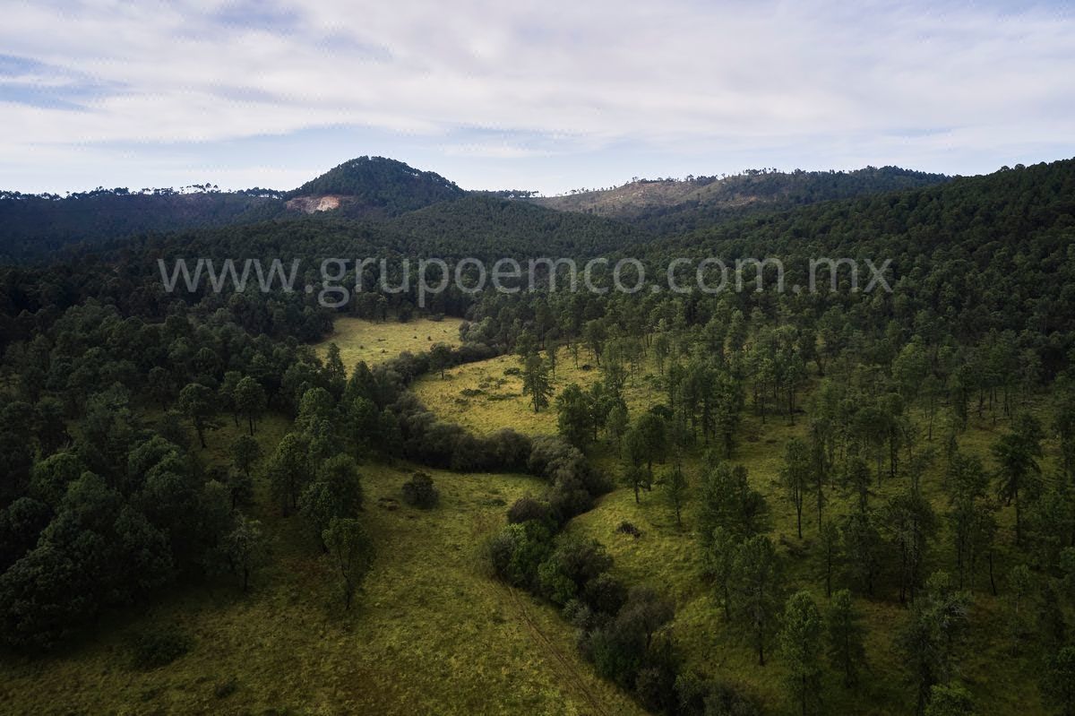 Terreno Campestre Reserva San Gregorio, Concepción de Buenos Aires