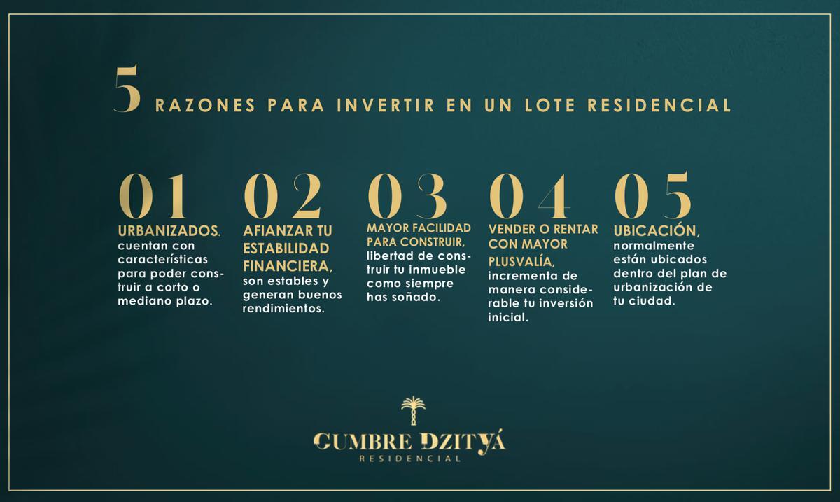 2 de 12