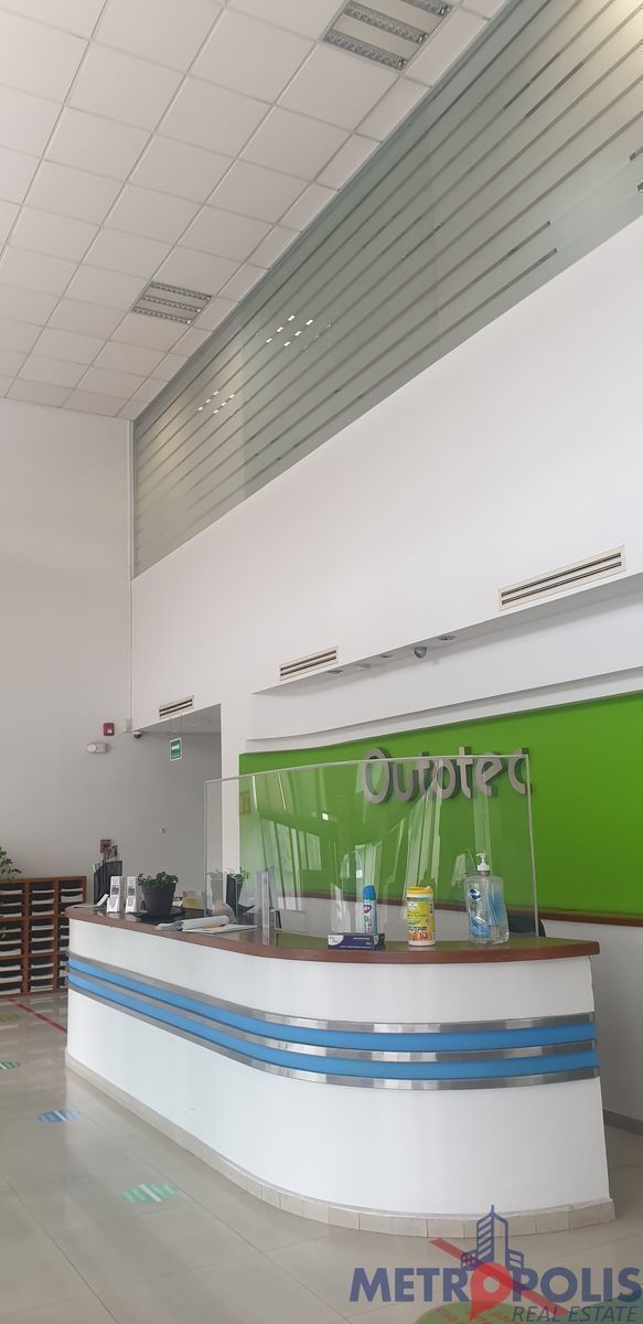 adidas Pantalón Estampado Trifolio 3D - Gris | adidas Argentina