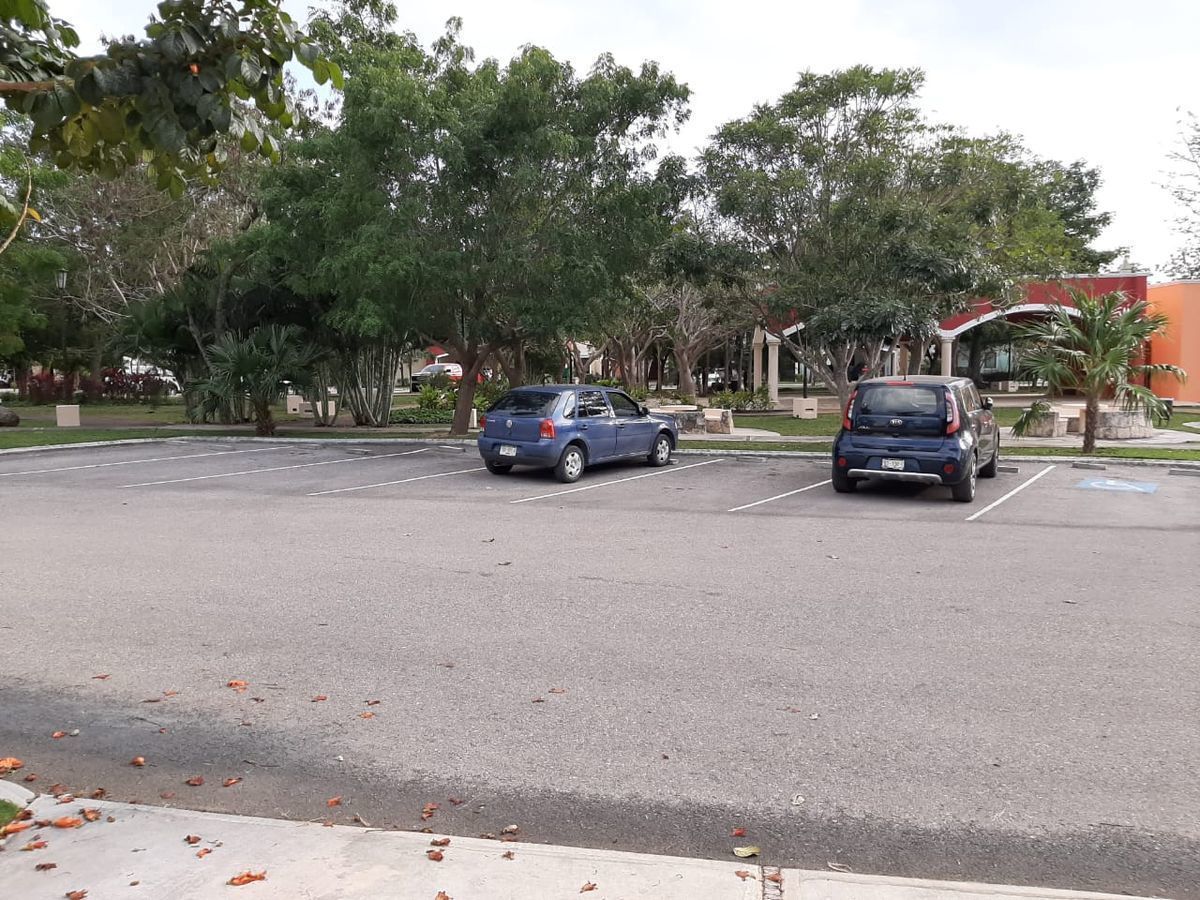 33 de 36: Vista al parque y cajones de estacionamiento de visitas