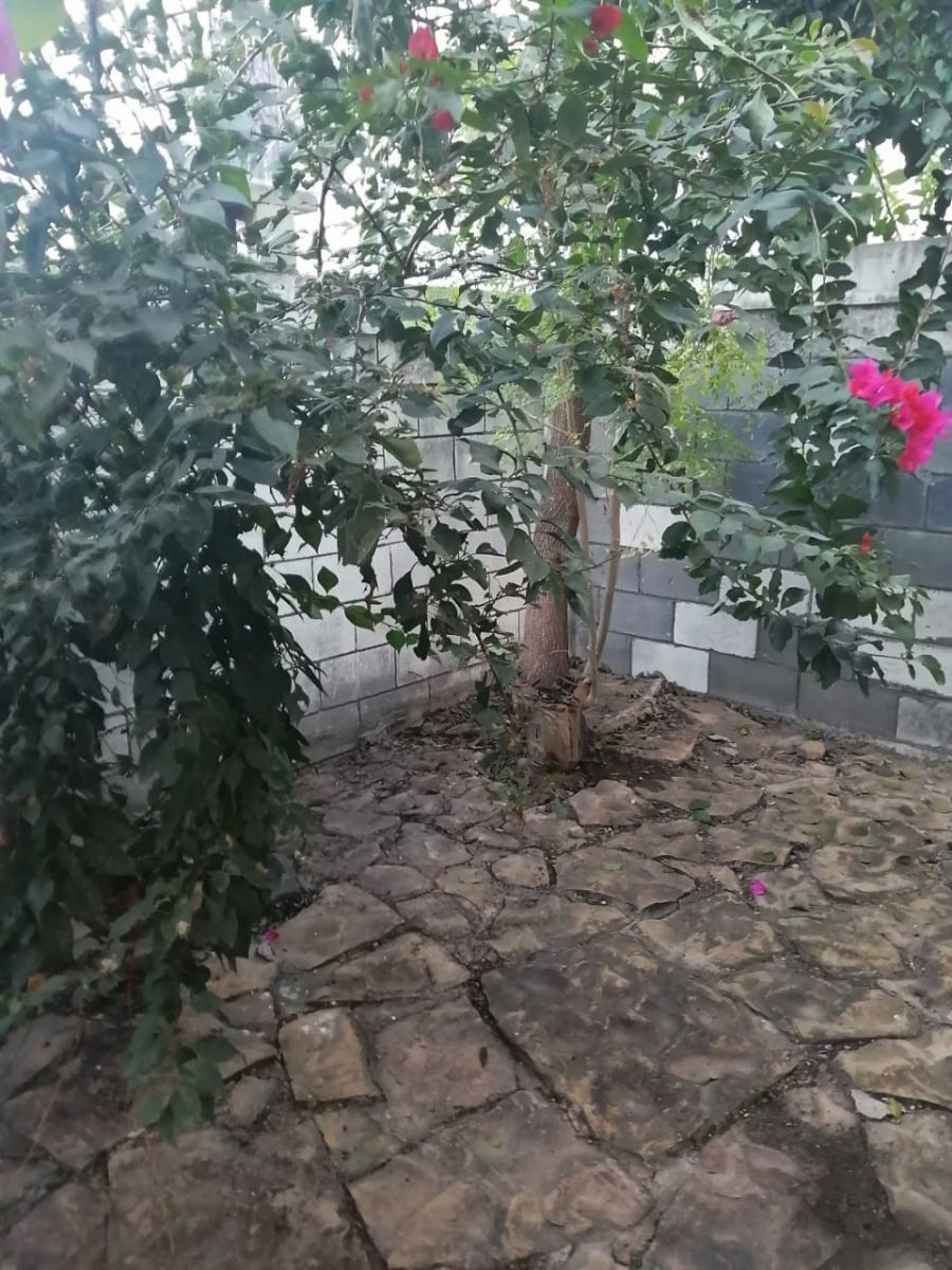17 de 33