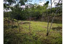 2 de 25: Terreno casi plano
