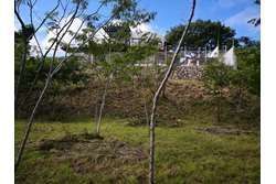 5 de 25
