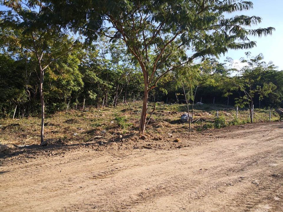 3 de 25: calle de acceso