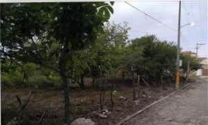 5 de 12