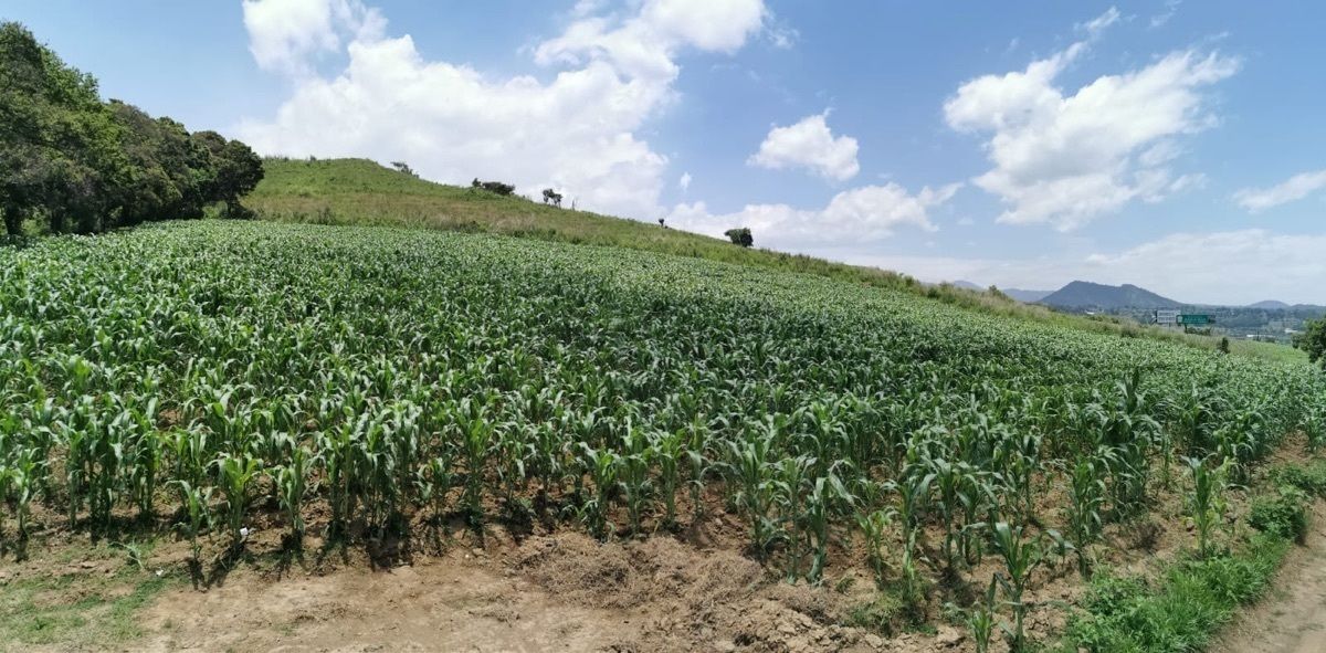 Hermoso terreno cerca de Cuautla, un costado del Club Asturiano Campestre - foto 1