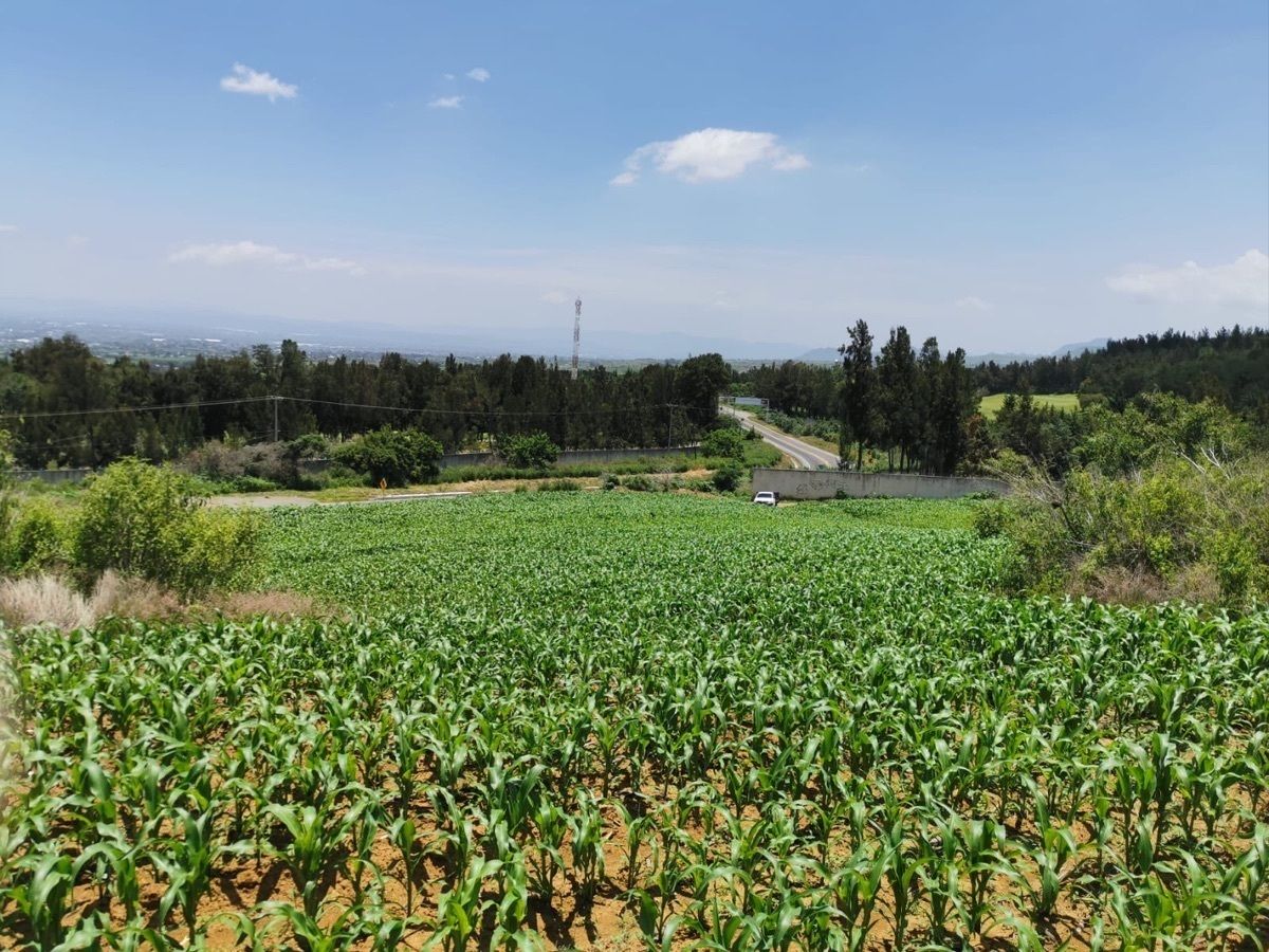 Hermoso terreno cerca de Cuautla, un costado del Club Asturiano Campestre - foto 3