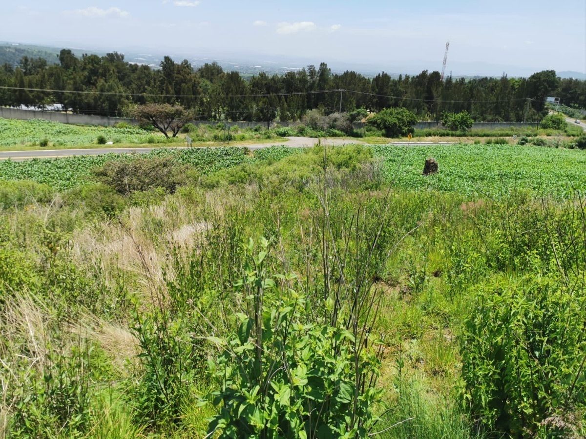 Hermoso terreno cerca de Cuautla, un costado del Club Asturiano Campestre - foto 2