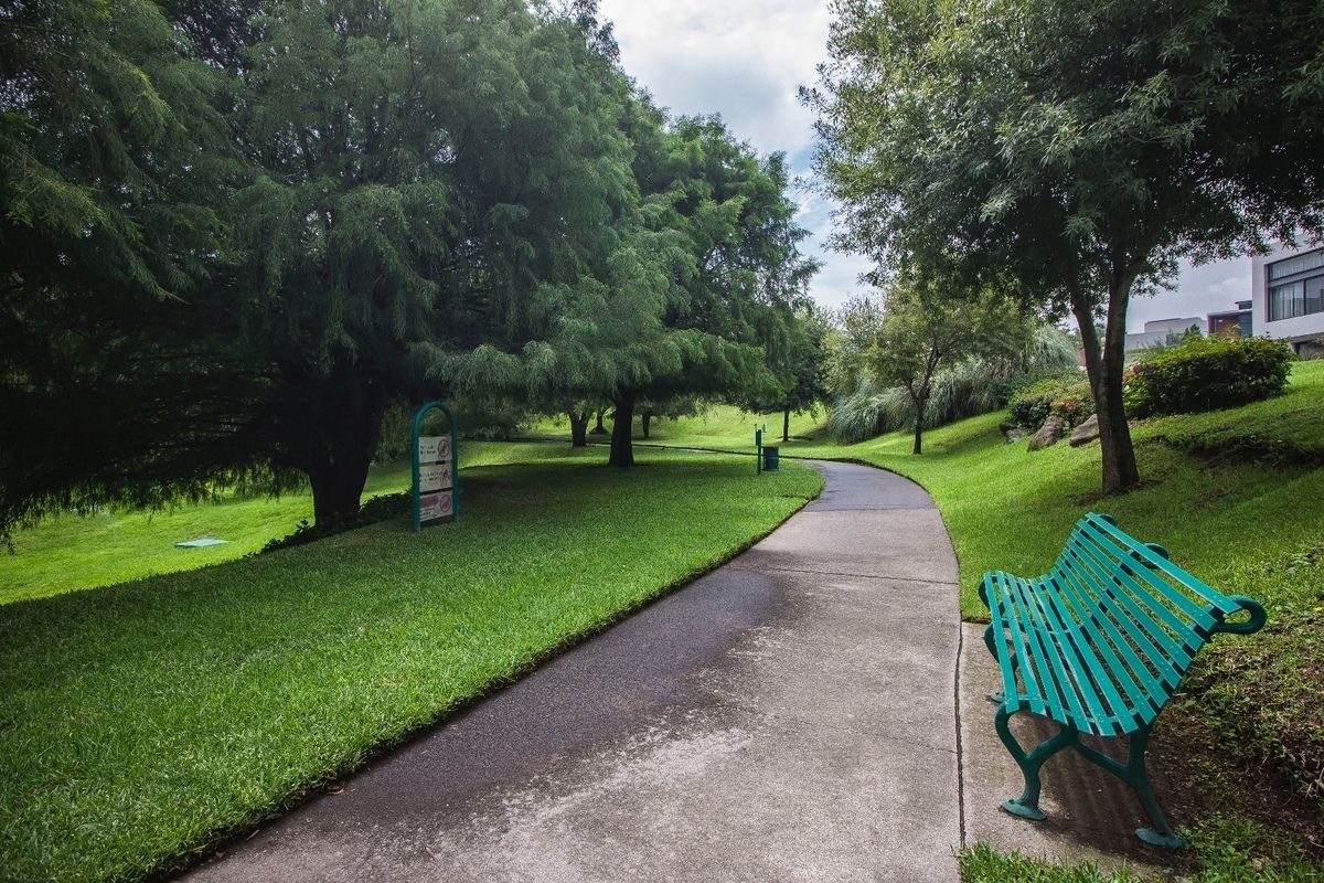 8 de 45: #LosSueñosResidencial