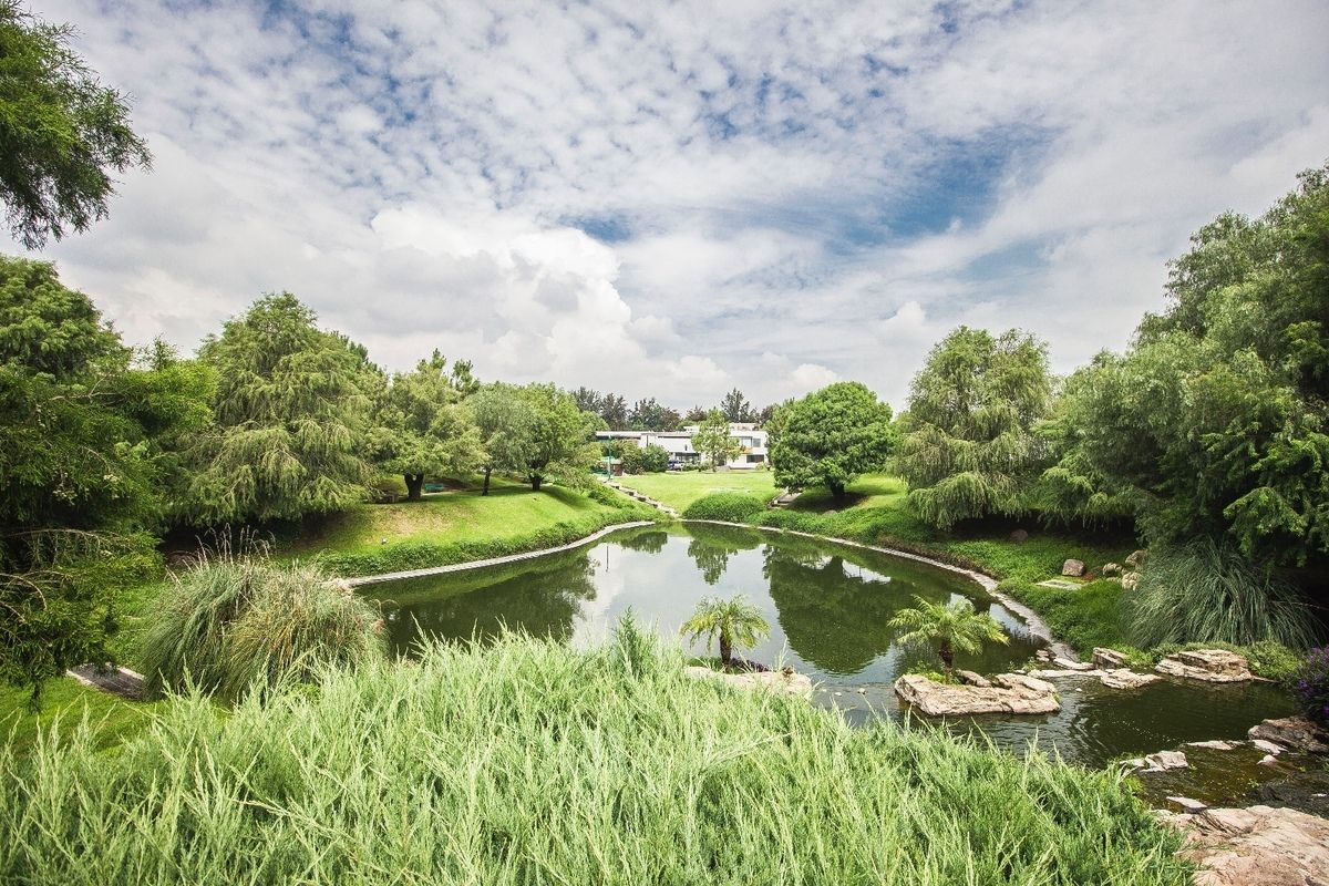 7 de 45: #LosSueñosResidencial