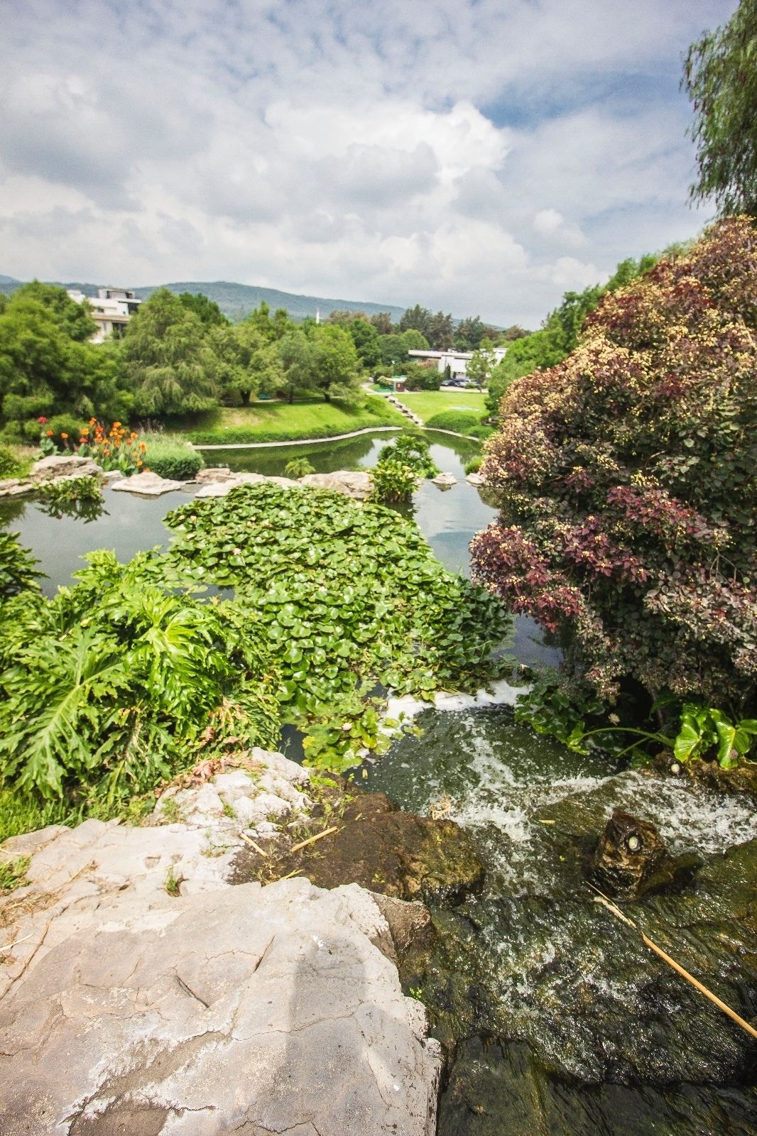 9 de 45: #LosSueñosResidencial