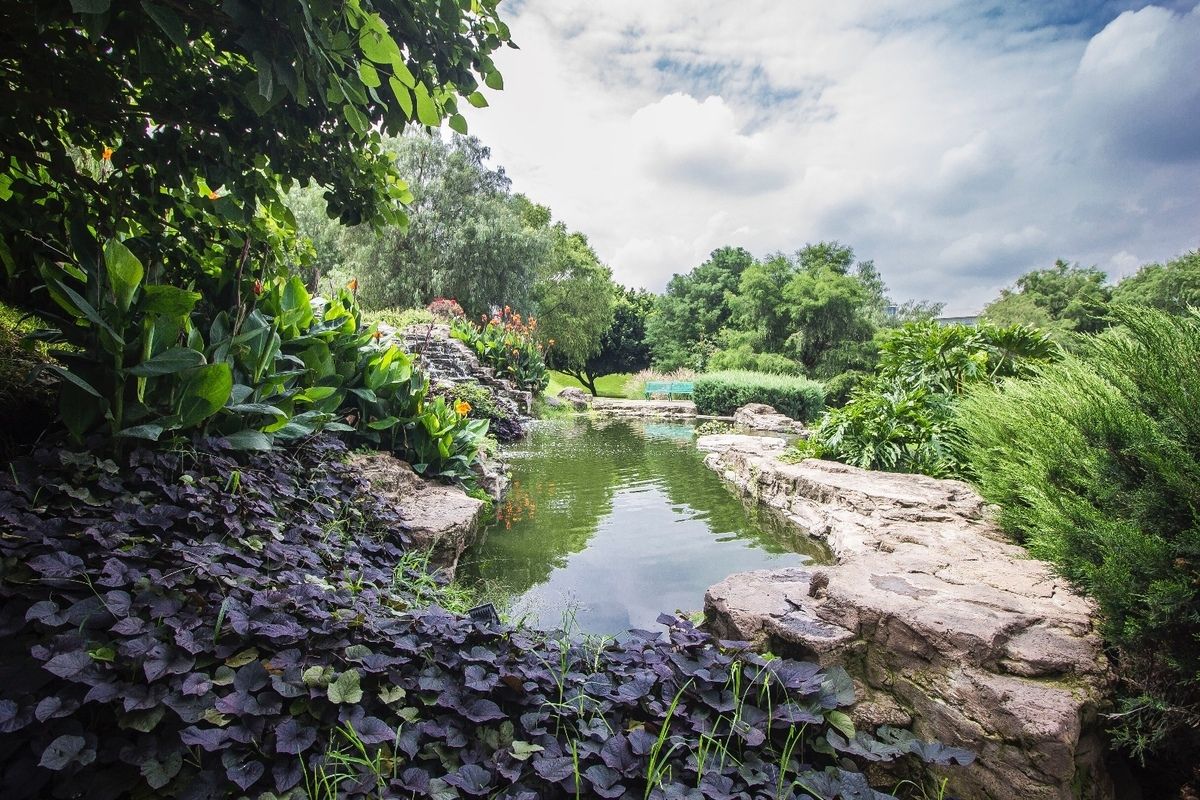 12 de 45: #LosSueñosResidencial