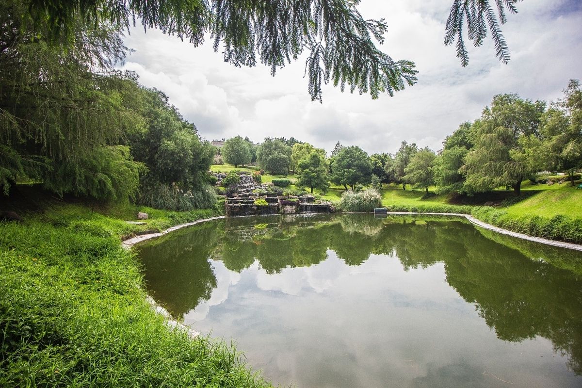 15 de 45: #LosSueñosResidencial