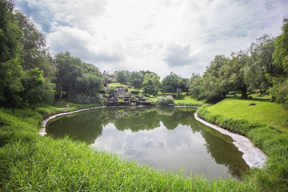 17 de 45: #LosSueñosResidencial