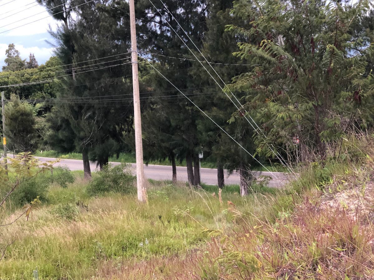 Terreno en Chichima Guadalupe, Comitán de Domínguez, foto 14 de 34