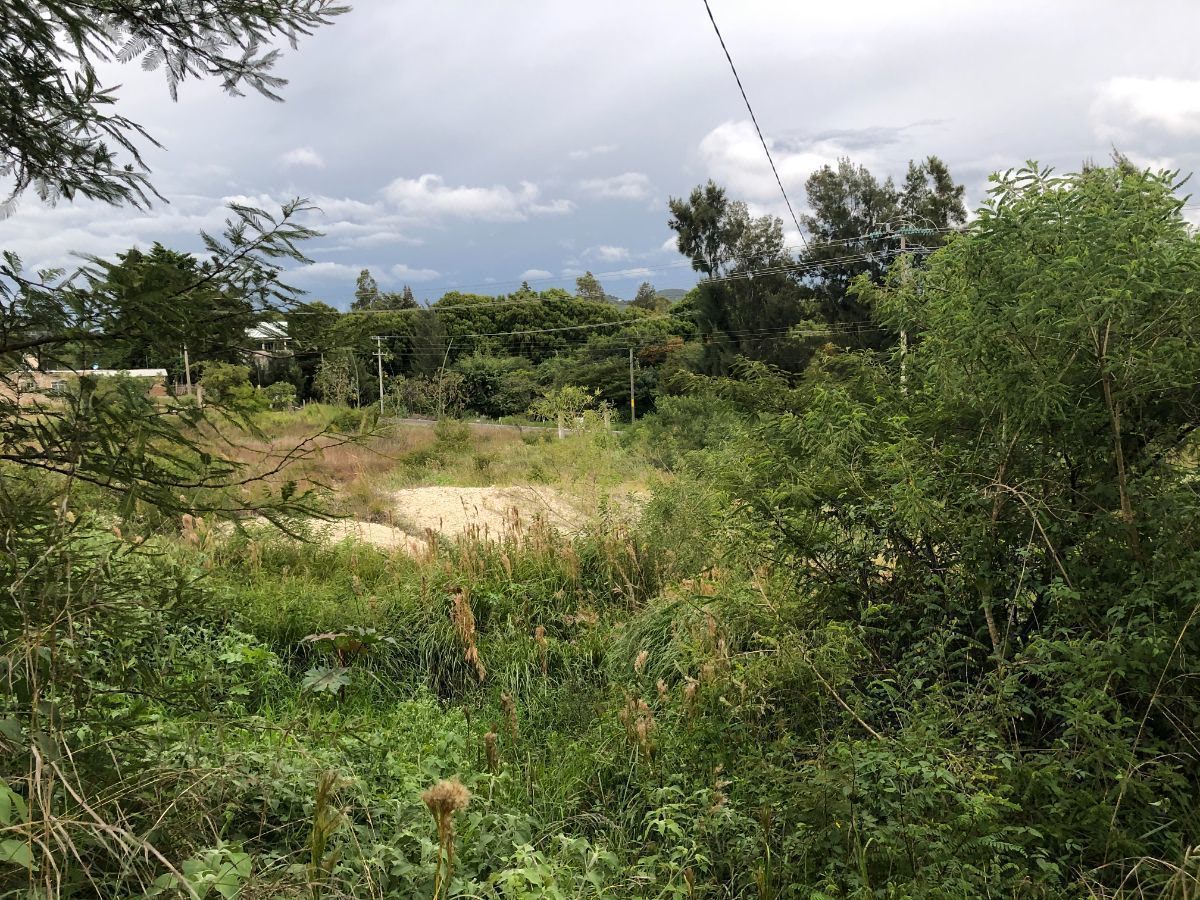 Terreno en Chichima Guadalupe, Comitán de Domínguez, foto 31 de 34