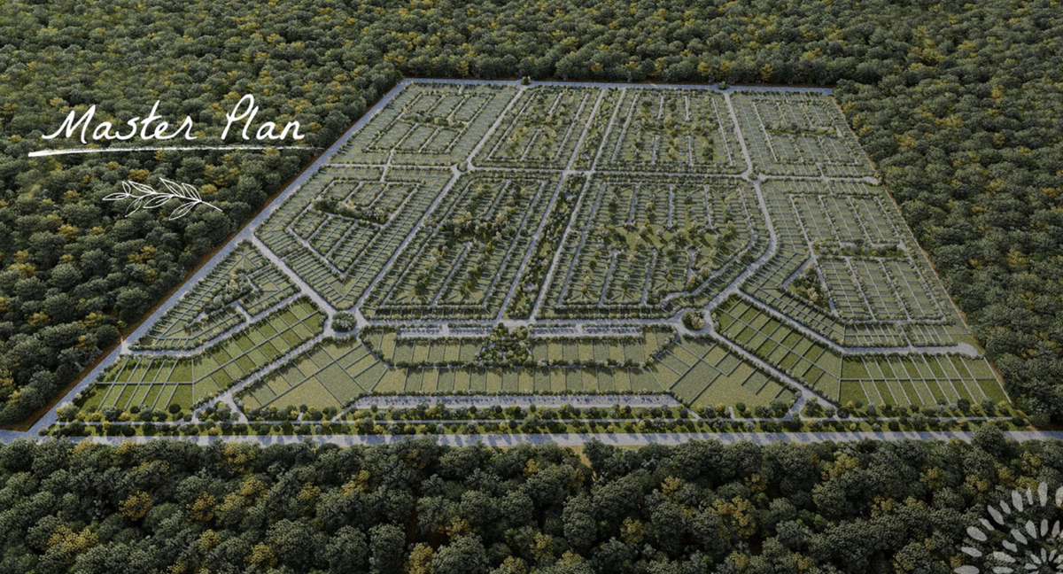 master plan