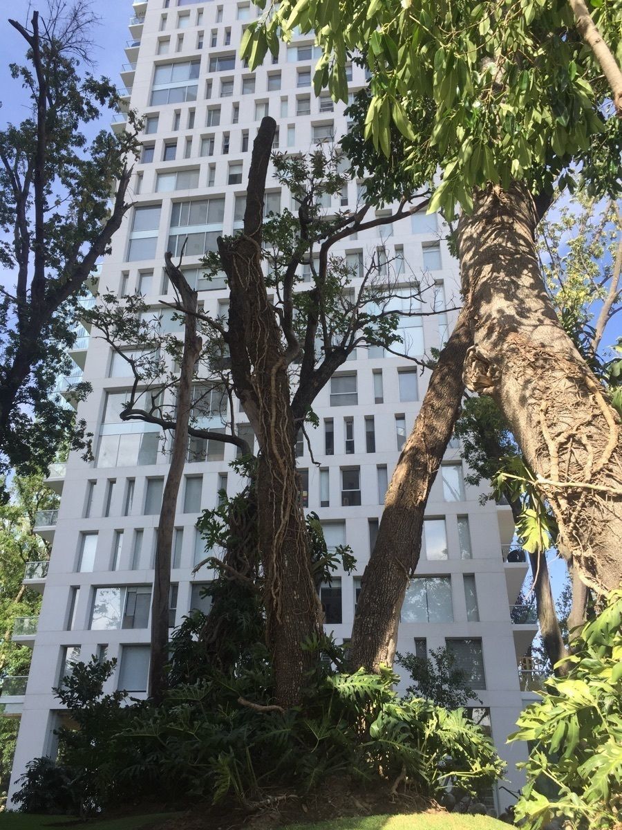 37 de 48: jardines