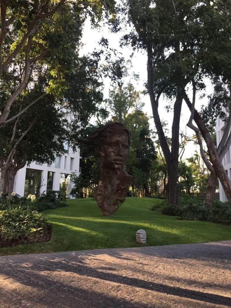 44 de 48: jardín