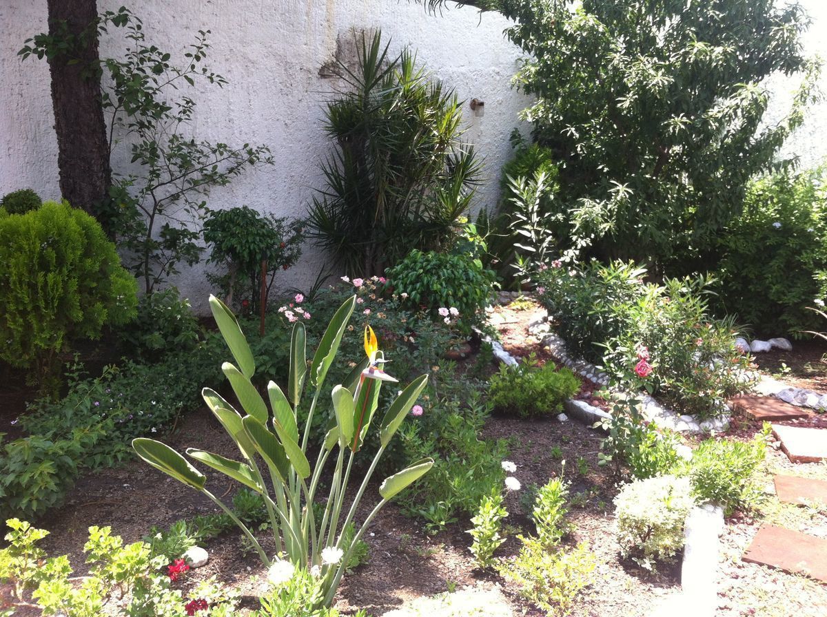 Casa en Álamos 1a Sección, Querétaro, foto 12 de 17