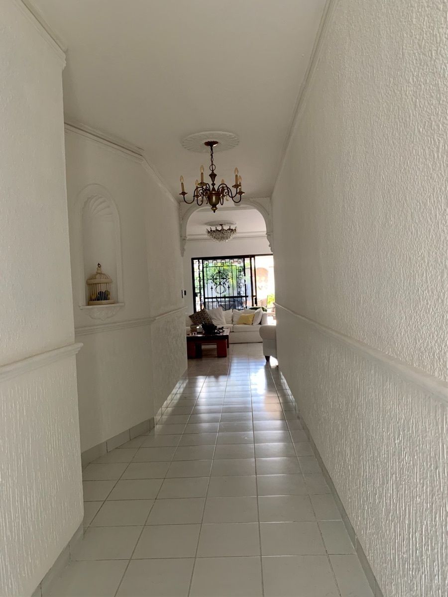 5 de 31