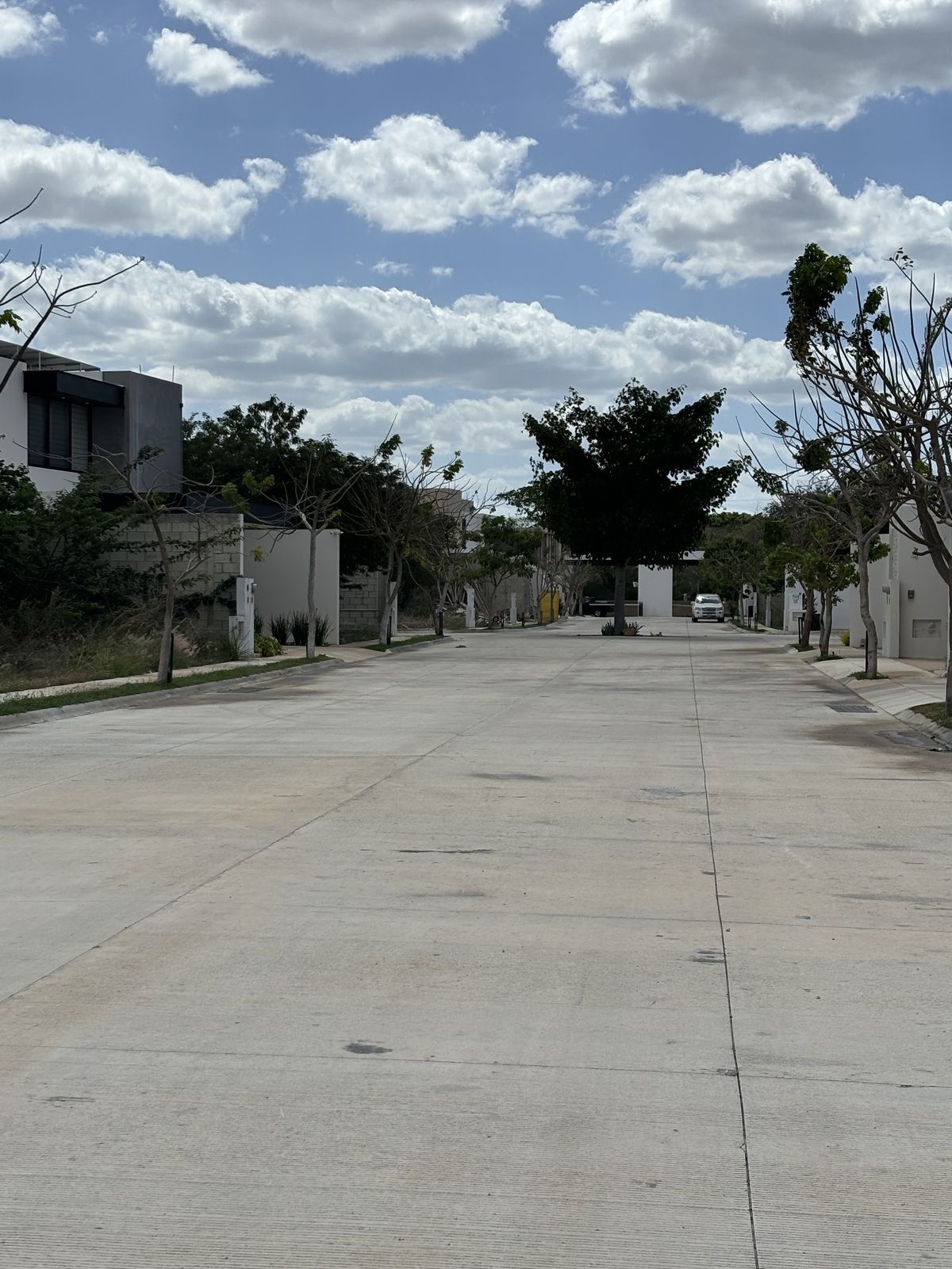 1 de 21
