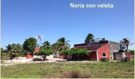 1 de 18: Rancho venta Temax Yucatán 
