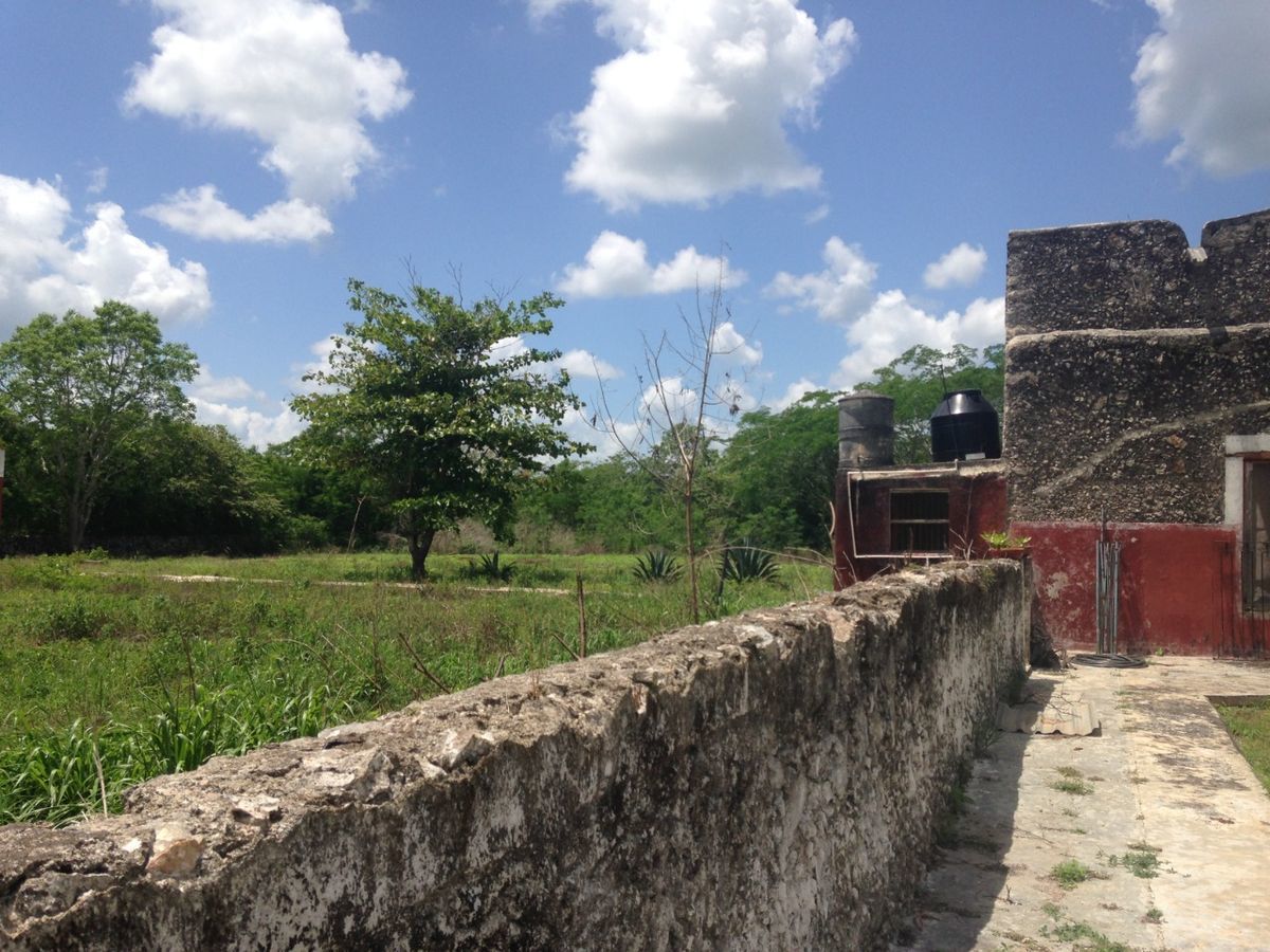 14 de 18: Rancho venta Temax Yucatán 
